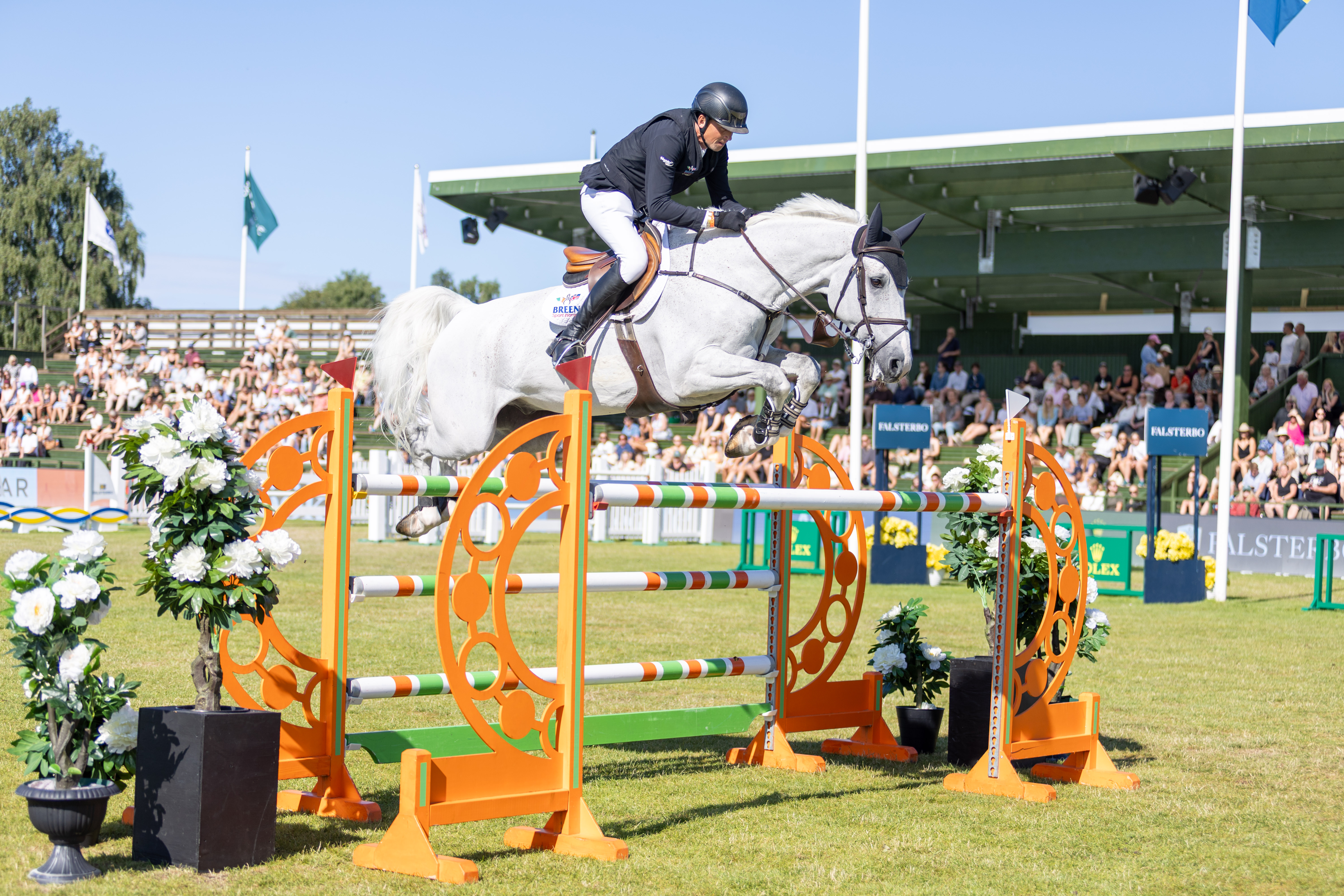 Sport horse jumping at competition